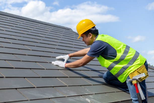 Best Shingle Roofing Installation  in College, AK
