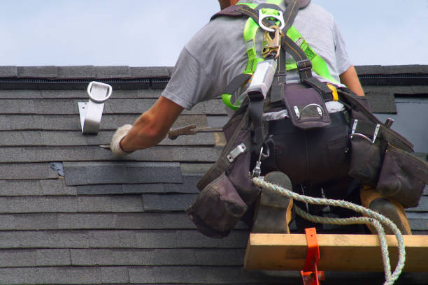 Best New Roof Installation  in College, AK