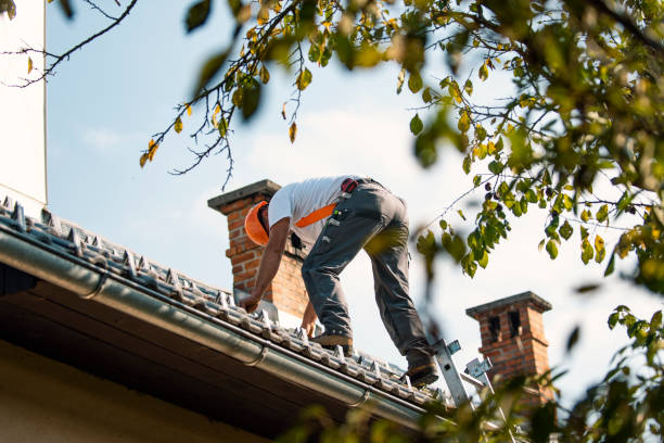 Best Sealant for Roof  in College, AK