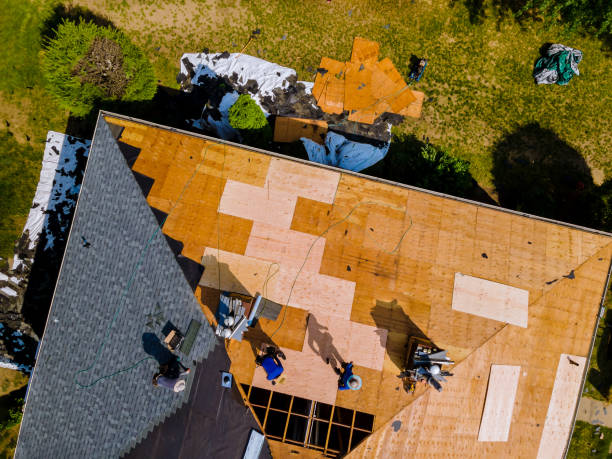 Best Metal Roofing Contractor  in College, AK