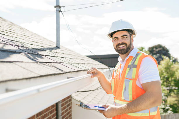 Best Storm Damage Roof Repair  in College, AK