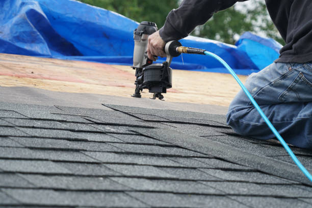 Best Best Roofing Contractors  in College, AK