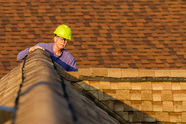 Best Emergency Roof Repair  in College, AK