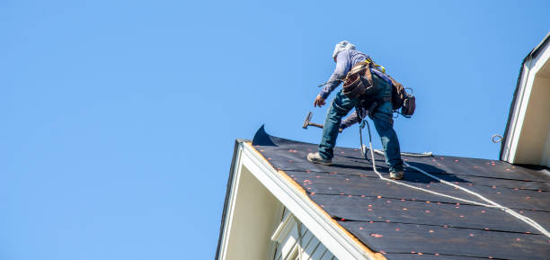 Best Roof Gutter Cleaning  in College, AK